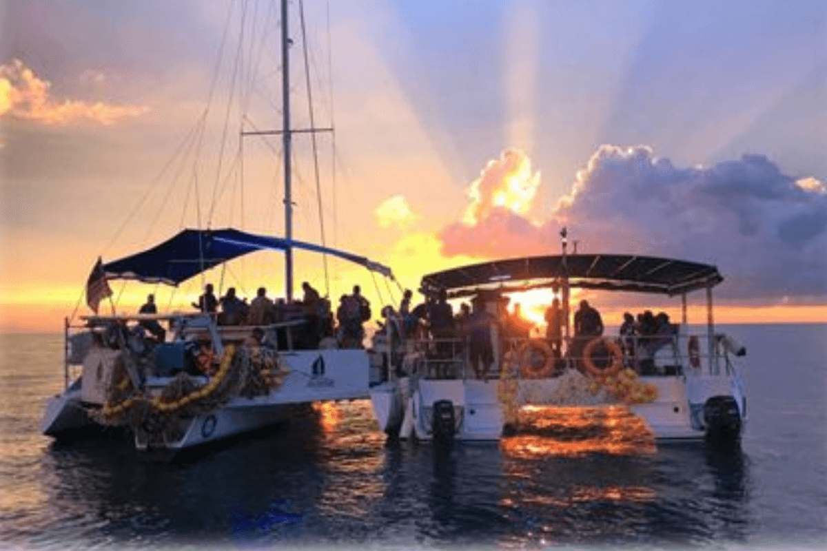 Private Premium Amoi 2 Catamaran 5hr (A/C) photo 3