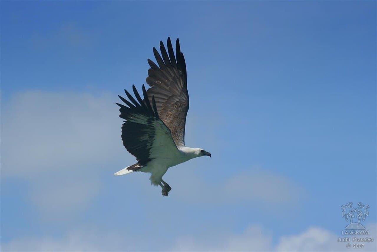 Langkawi Wildlife Park photo 5