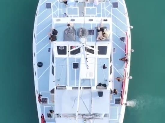 Free Soul Sailing Cat (15-35) photo 3