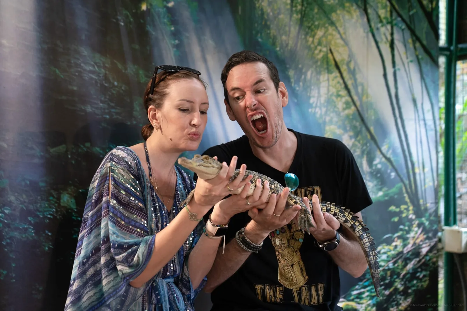 Crocodile Adventure Combo photo 4