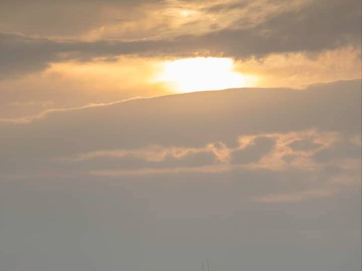 Beauty Princess sunset cruise — photo 2 of 4