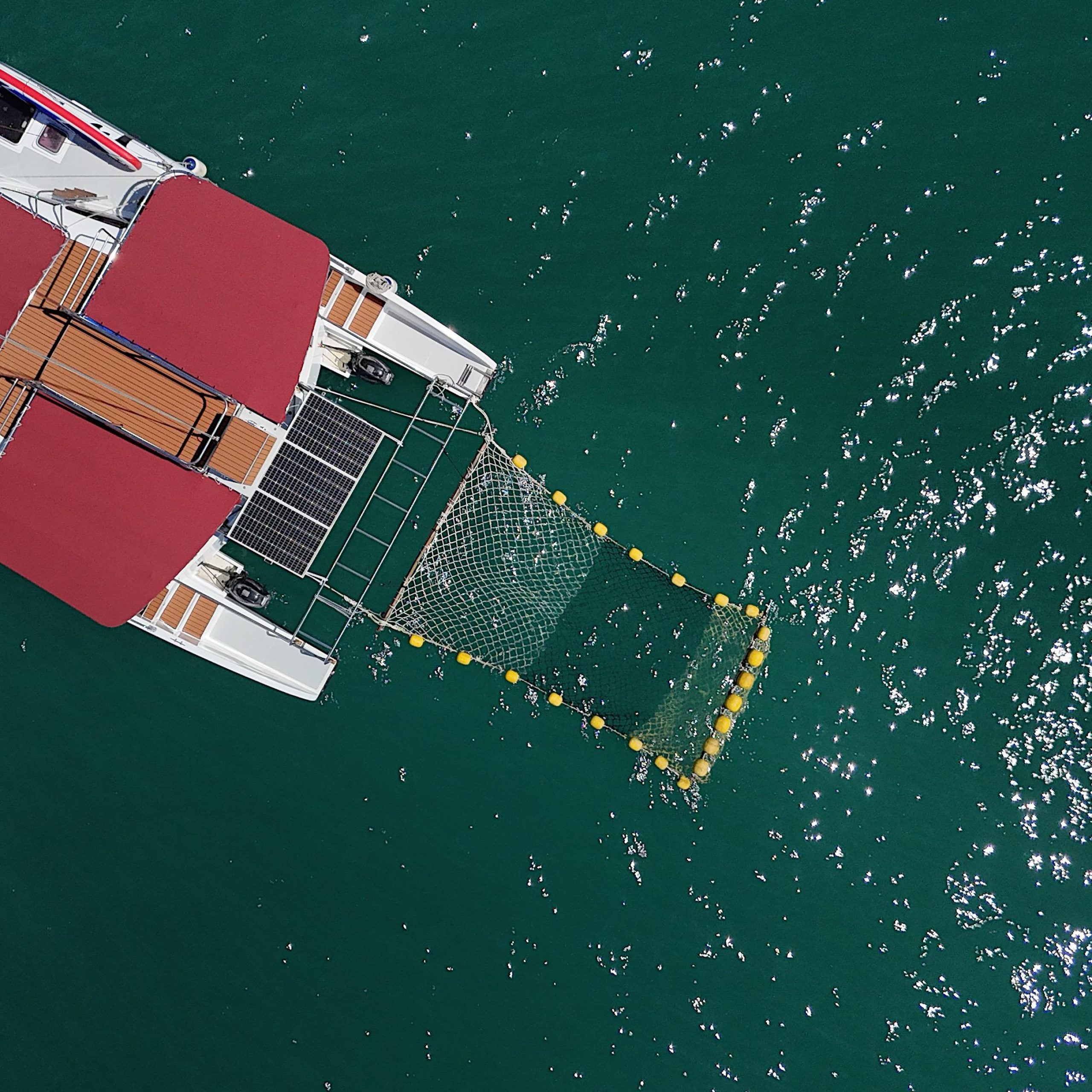 Masami 36ft Charter — photo 2 of 10