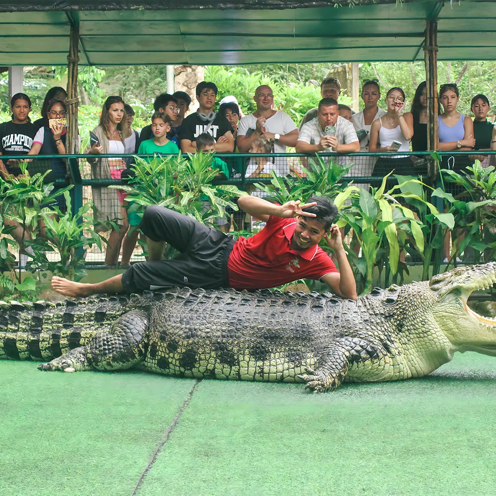 Crocodile Adventure Combo photo 5