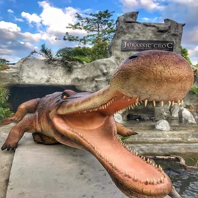 Crocodile Adventure Combo — photo from the tour