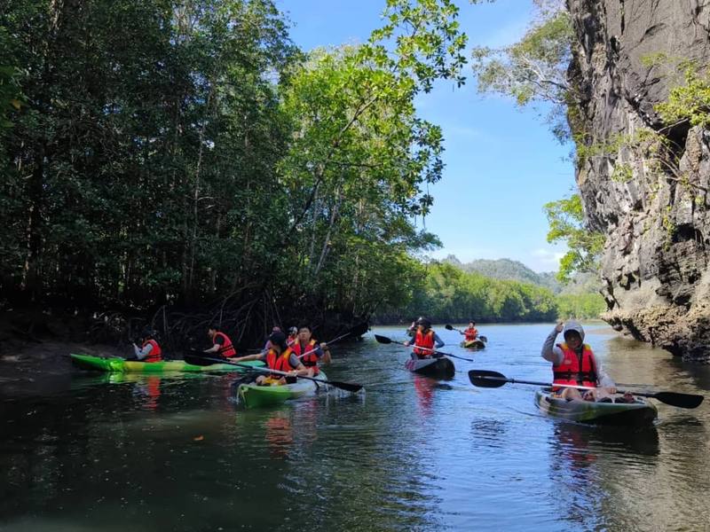 Kilim Geoforest Mangrove Kayaking 4hr (min 2pax) — photo from the tour