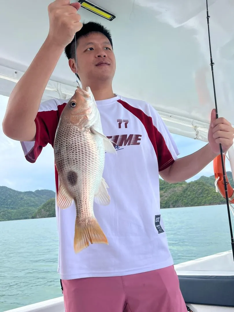 Fishing Sharing Speedboat 4hr