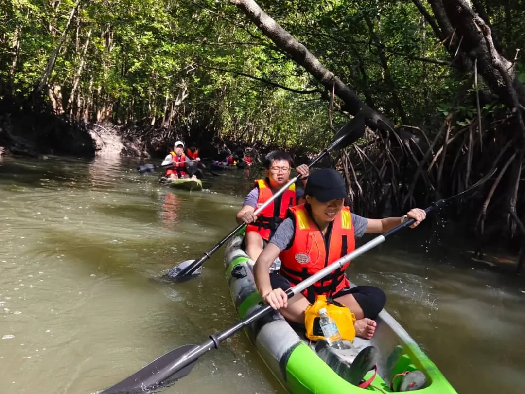 Kilim Geoforest Mangrove Kayaking 4hr (min 2pax)
