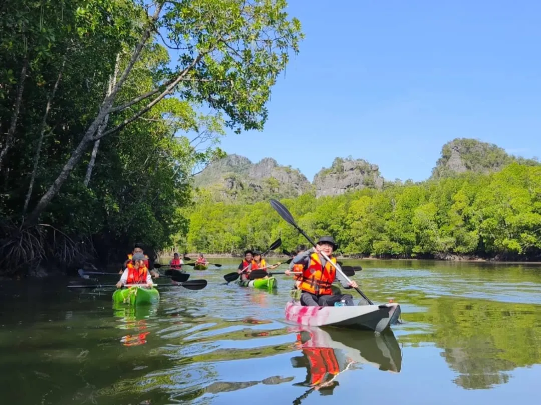 Kilim Geoforest Mangrove Kayaking 4hr (min 2pax) photo 2