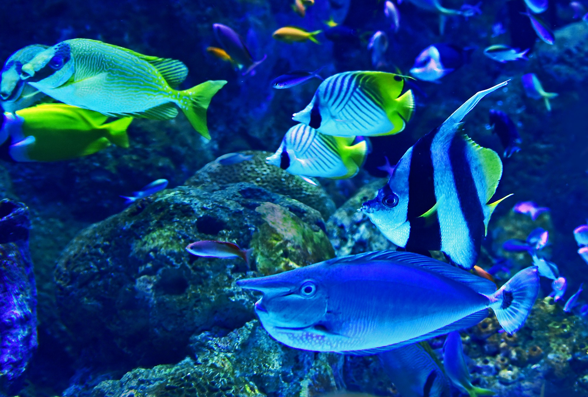 Underwater World Langkawi photo 4