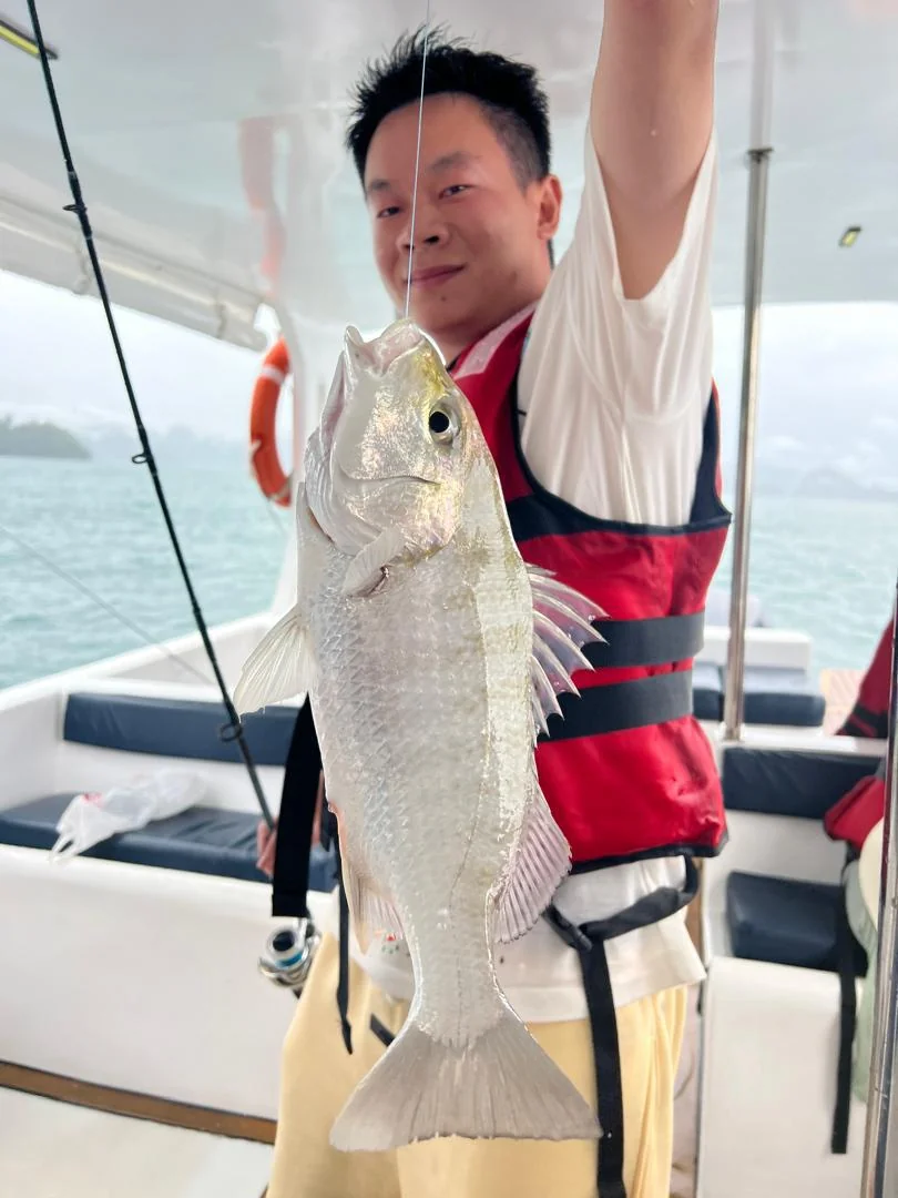 Private Standard Speedboat 6pax 5hr (audio+toilet) photo 3