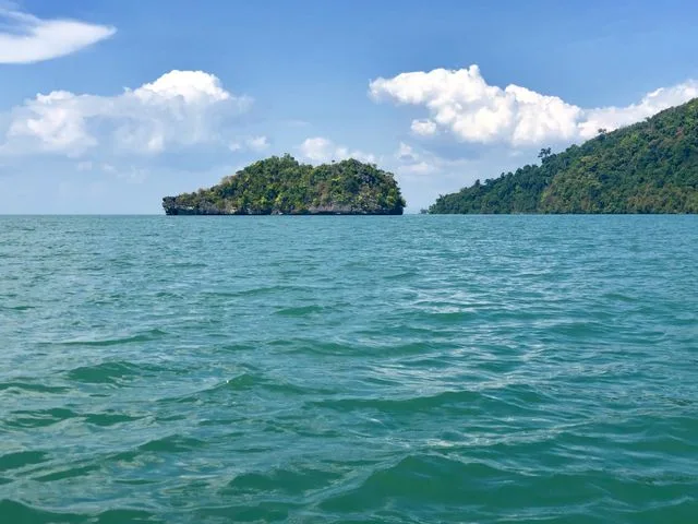 Tanjung Rhu Mangrove Sharing Premium photo 4