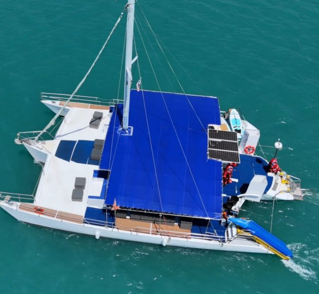 Erica Catamaran (30-65) — photo 4 of 6